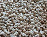 Foto langkah ke 1 dari resep Kue Kacang Jadul Ngeprul Lumer (Resep Nenek).