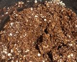 Foto del paso 4 de la receta: Bombones de avena