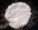 A picture of step 4 of Uttapam.