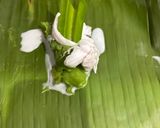 Foto langkah ke 7 dari resep Jongkong Kelapa Muda.
