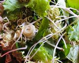 Hình bước làm 5 của món Bún Bò Kho