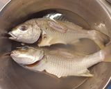 Foto langkah ke 1 dari resep Japanese-style Simmered Fish 魚煮付け.