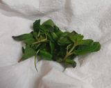 A picture of step 11 of Orange candies in two varieties.
