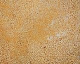 A picture of step 4 of Sesame chikki.