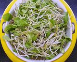 Hình bước làm 1 của món Mì Quảng chay