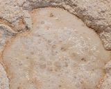 Foto del paso 3 de la receta: Pan integral (con harina integral de molienda fina)