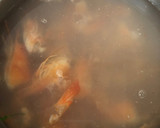 Foto del paso 1 de la receta: Risotto ligero de salmón y gambas 🍤