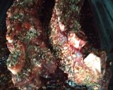 Foto del paso 4 de la receta: Costilla Brontosaurio