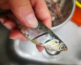 Foto del paso 3 de la receta: Anchoas en salazón