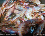 Foto del paso 7 de la receta: Suquet de gambas con patatas azules
