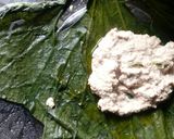 A picture of step 3 of Bhapa lauki leaf.
