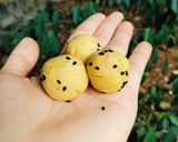 Hình bước làm 5 của món Bánh khoai lang nhân phomai