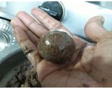 A picture of step 5 of Ragi ladoo.