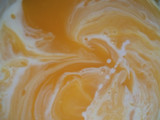 Fruits custard