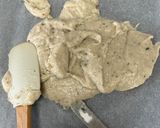 Foto del paso 5 de la receta Crackers de Arroz Cocido !!!