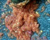 Foto langkah ke 2 dari resep Urap bayam tauge bumbu ebi.