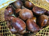 Roasted Chestnuts (Oven)
