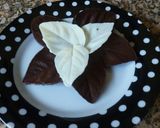 Foto del paso 8 de la receta: Hojitas de chocolate