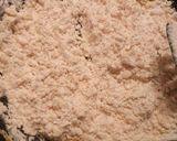 Foto del paso 4 de la receta Croquetas de jamón serrano y pollo