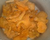 Rókagombás zöldségleves recept fázis 2 fotója