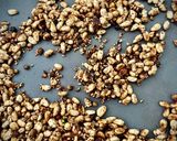 Foto del paso 2 de la receta Huevos con acelgas y dukkah