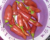 Red Chilli Pickle recipe step 1 photo