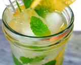 Foto del paso 3 de la receta: Vodka Fresh