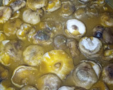 Foto del paso 6 de la receta: Fricandó de ternera
