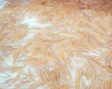 A picture of step 2 of Mava vermicelli.
