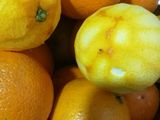 عصير برتقال مركز لتجهيزات رمضان 🍊
