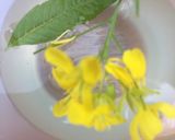 A picture of step 1 of Herb and Edible Flower Ice cubes 🌿🌱🌷.