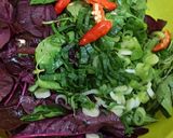 Foto langkah ke 2 dari resep Hanya Sayur Bayam Berkuah.