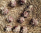 Foto del paso 5 de la receta: Cake pops fáciles