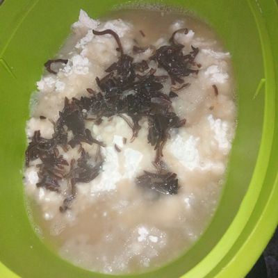 Langkah 3