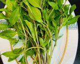 Hình bước làm 2 của món Ốc hương hấp sả và húng quế