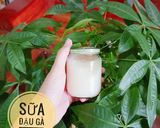 Hình bước làm 2 của món #29 | Sữa đậu gà