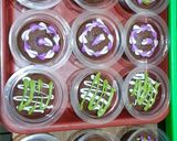 Foto langkah ke 6 dari resep Brownies cup.