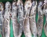 Foto langkah ke 8 dari resep Cara MenghiLangkan Lendir Ikan LeLe.