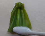 山蘇炒剝皮辣椒(簡單料理)的食譜步驟2照片