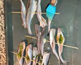 Foto del paso 4 de la receta: Espetos de bacaladillas