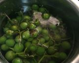 A picture of step 2 of Veg of Lisode.