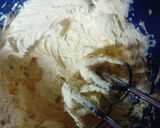 Foto del paso 1 de la receta: Garibaldis