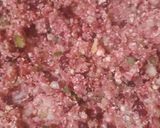 A picture of step 2 of Beetroot kabab.