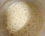 Foto del paso 1 de la receta: Masa para pizza integral y con masa madre casera