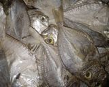 Foto langkah ke 1 dari resep Sambel ikan asin kacang.