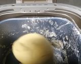 Foto del paso 3 de la receta: 1.Panettone de pasas y fruta escarchada