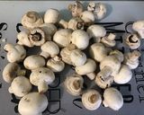 Une image de l'étape 4 de Champignons sautés à la crème, persil et gingembre.