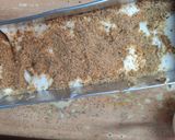 Foto langkah ke 5 dari resep Brownies Lapis Pudding.