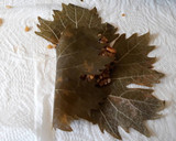 Foto del paso 4 de la receta: Dolmades de arroz