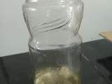 Penca al escabeche (tallo de la acelga)